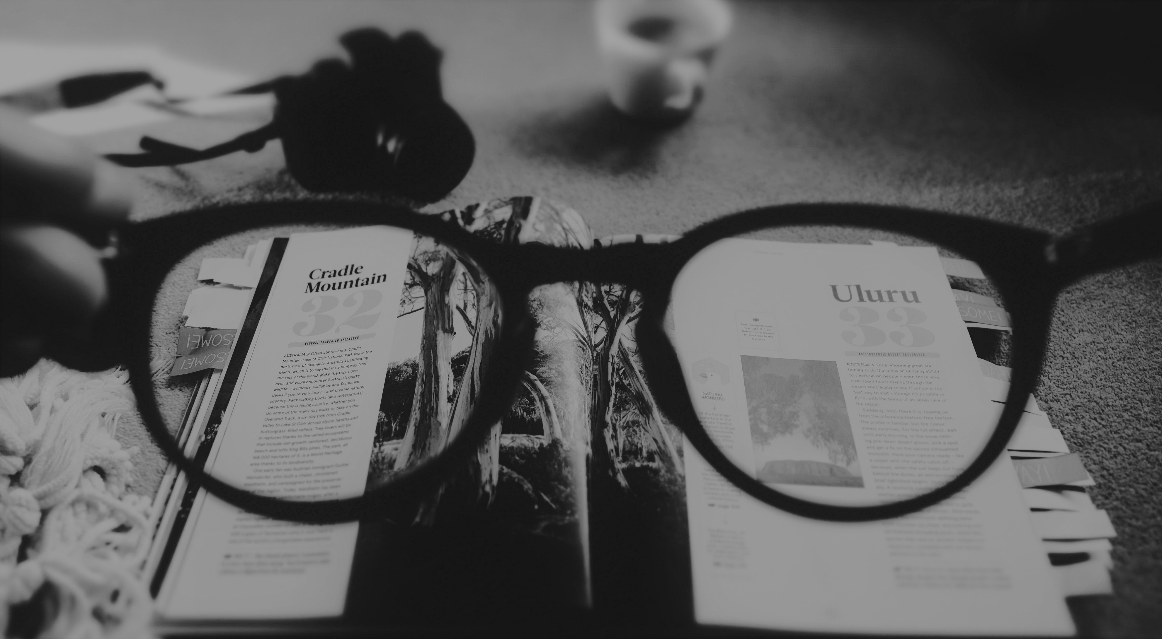 Vivir en el EGO: El origen y formación de la persona. ¿Qué somos? ¿De dónde venimos? Cuestionando las bases desde una posición consciente.