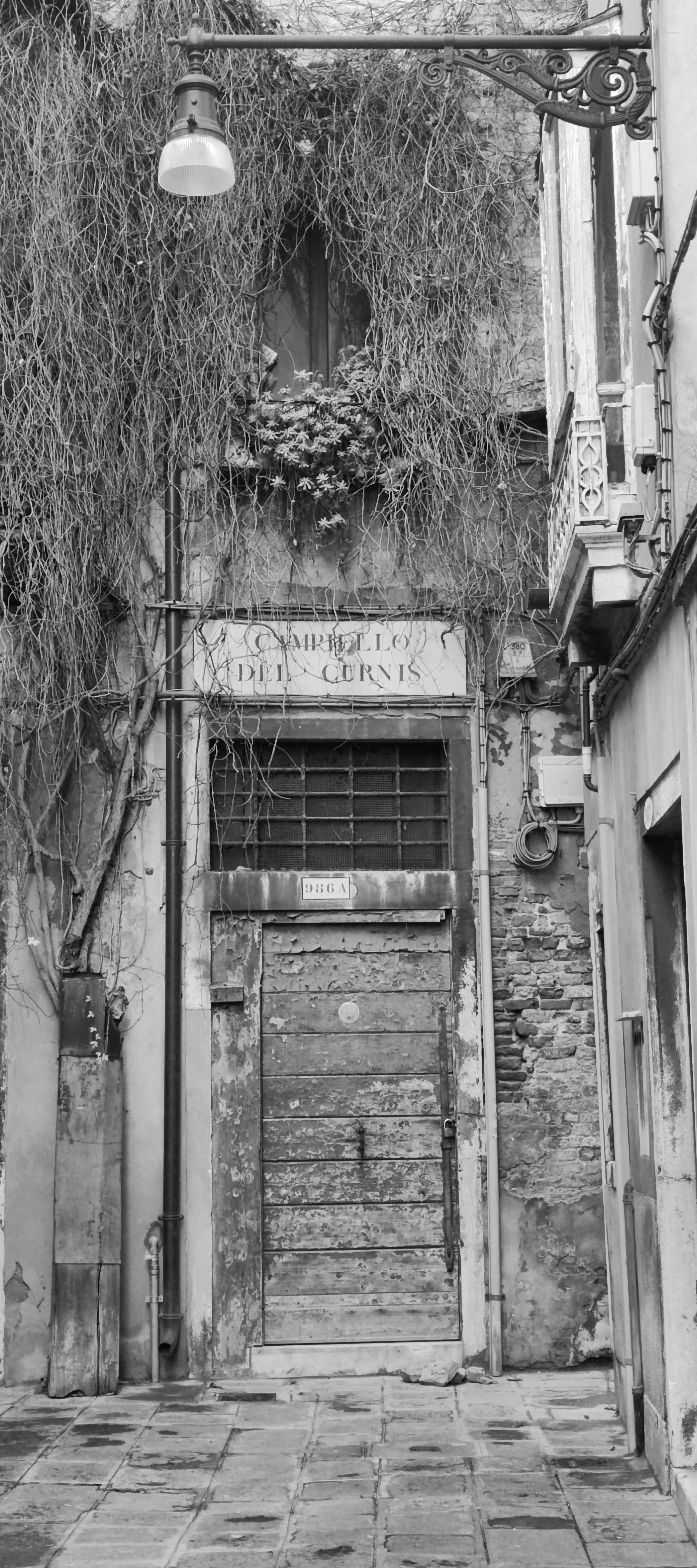 La contrafobia en el eneatipo 6:  otros rasgos característicos y consideraciones psicodinámicas (4) PRIMERA PARTE