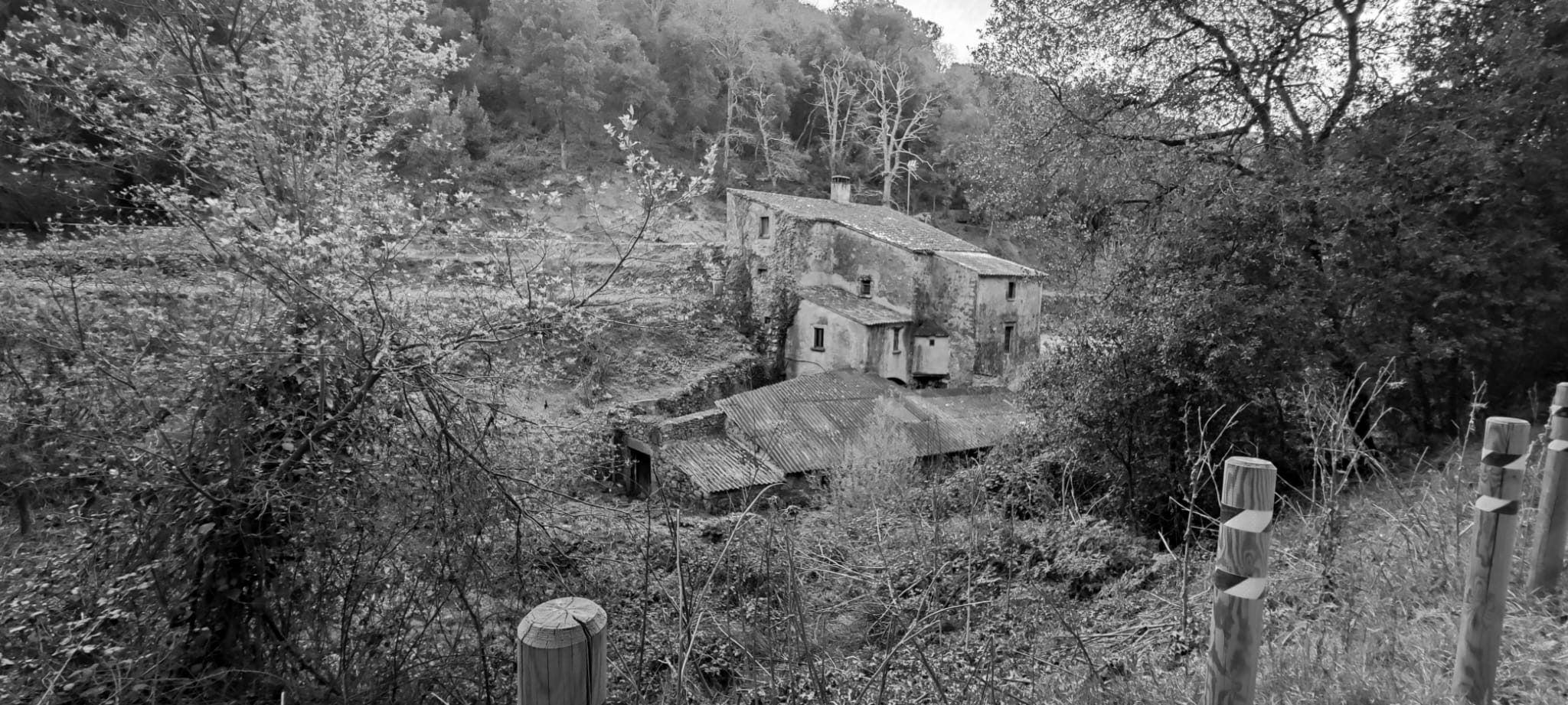 La herida de la traición: Apego desorganizado. Dime cómo es tu cuerpo y te diré qué herida tienes.