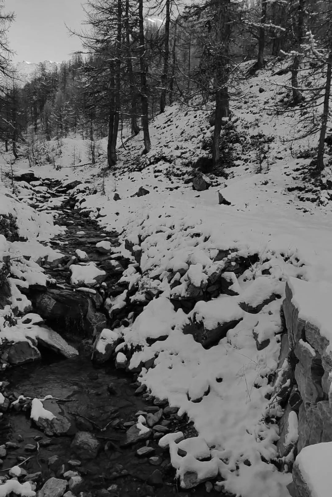 La reflexión del día: «Cuarteles de invierno» por Mario, un lector. Ansiedad, dolor, amor de su ángel.