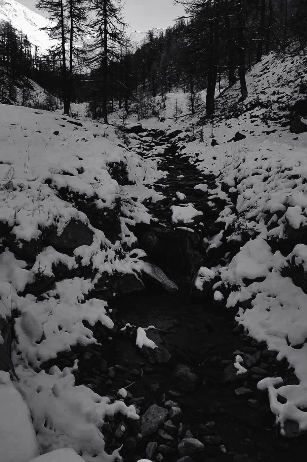 Zima Iarnă (2/2): La flauta dulce bañada en sal en mitad del inverno más frío y la vendedora de cerillas.