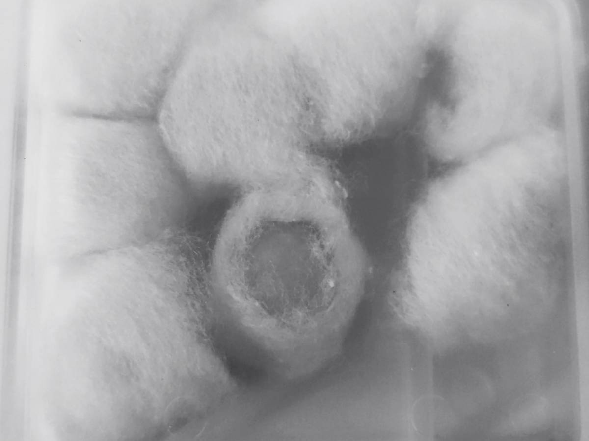 El valor de mis «Te quiero»: Hasta donde lleguen,&nbsp;llegamos.