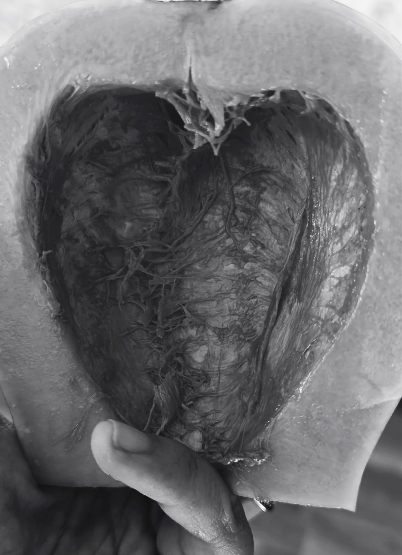 Breve relato de una noche oscura y desapacible: El hombre que quiso propasarse. «Así que esto es ser mujer…» pensé.
