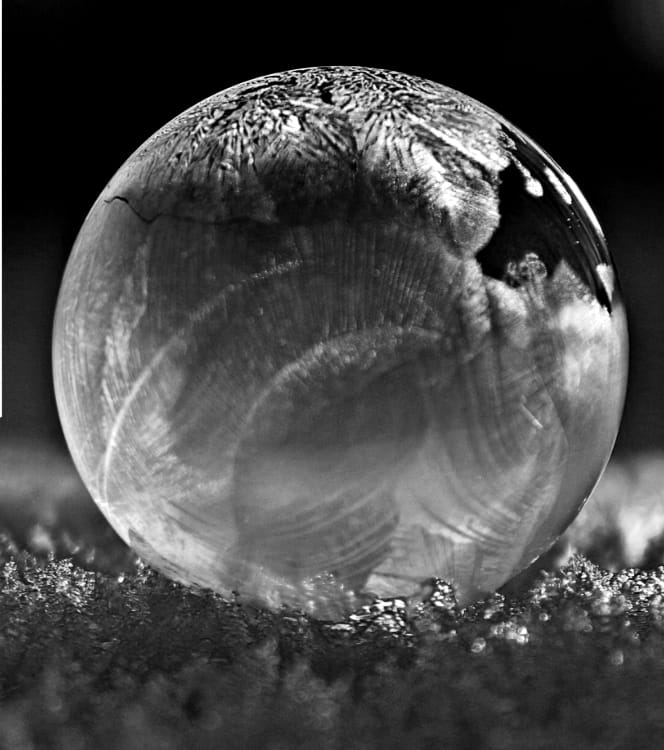 El reflejo de la proyección: Somos lo que vemos, pero es más fácil reconocerlo en otros.