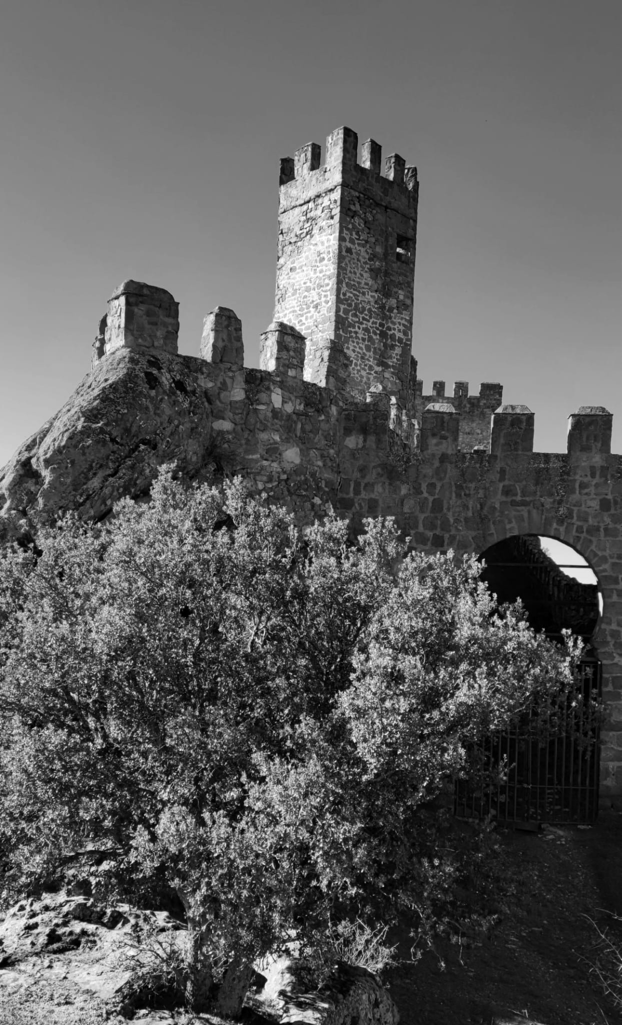La sangre de Satán: El fuego venenoso y creador corre por mis venas. Posesión infernal, la Baronesa Beltaine hija de Irlanda vive en mí.