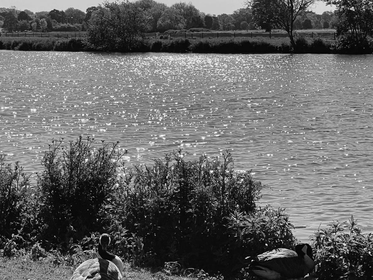 Coherencia consciencial: cuando lo que siento, pienso, digo y hago están alineados ocurre la magia. La manifestación se da cuando estamos&nbsp;alineados.