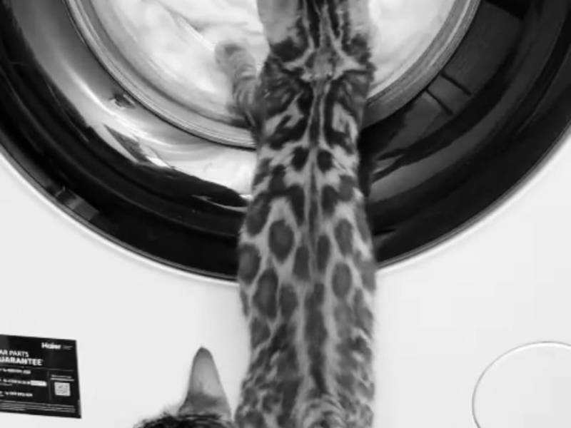 La niña disfrazada de adulta: Lo que más me importa es de lo que más huyo. Yo sola puedo. Negación, represión,&nbsp;mentira.