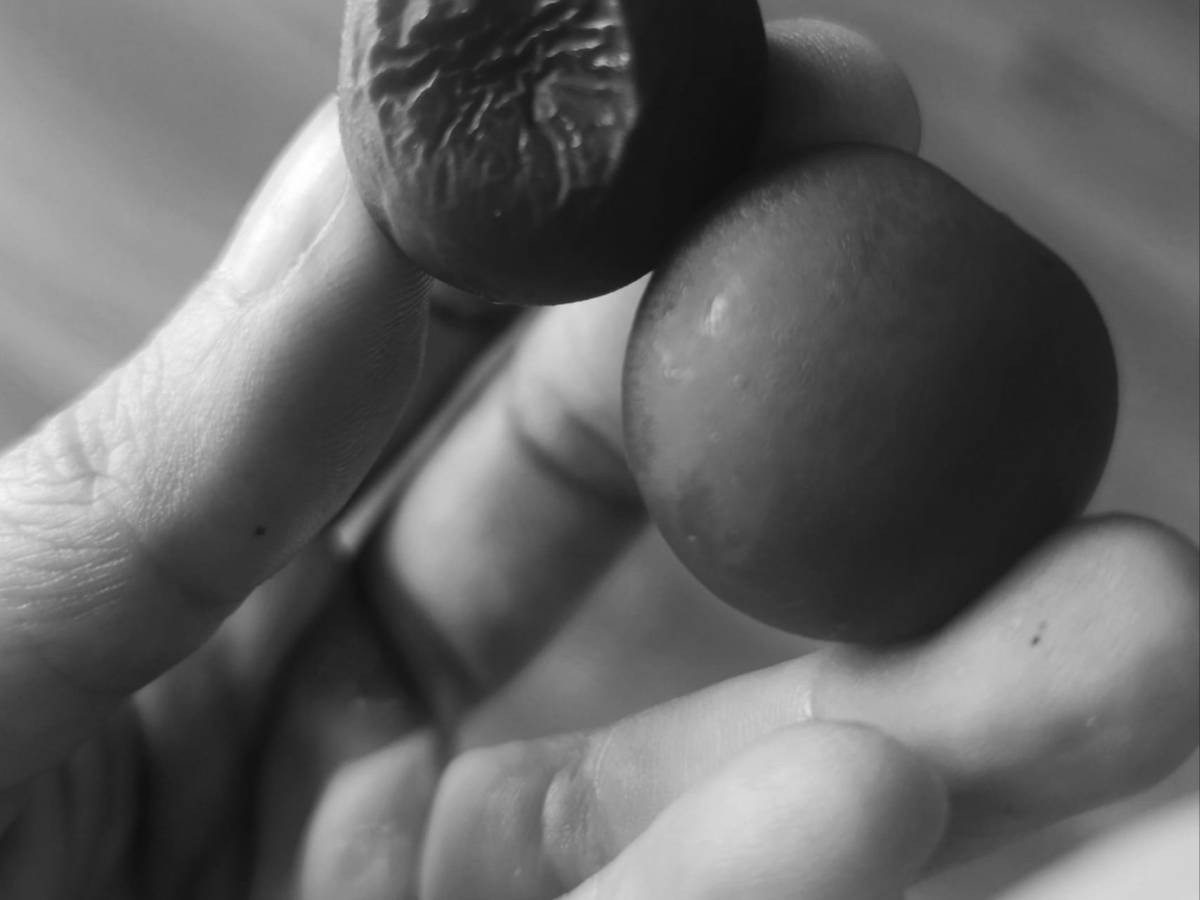 Alquimia vibracional: La frecuencia vibratoria sintoniza con el pensamiento. Somos pensados, no&nbsp;pensamos.