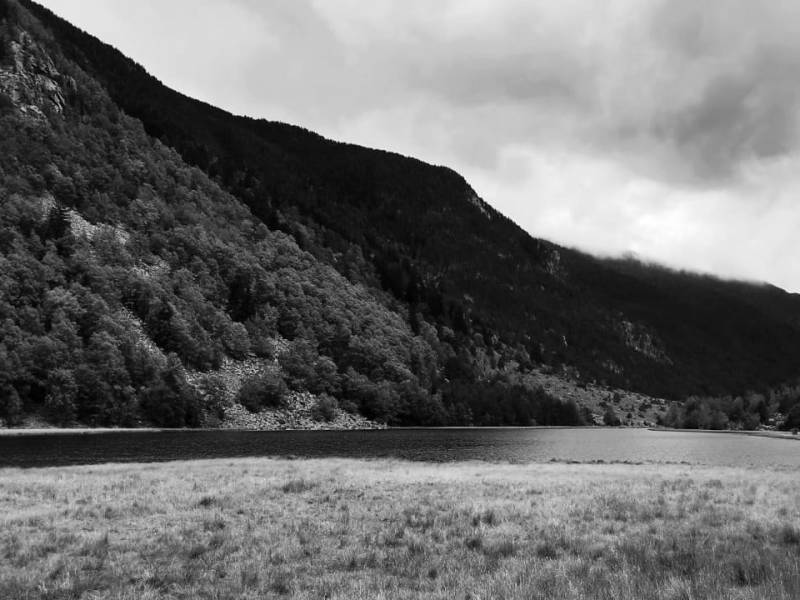 La alquimia del Amor: La conexión real como sendero espiritual de ruptura del ego. El portal corazón como fábrica de&nbsp;transmutación.