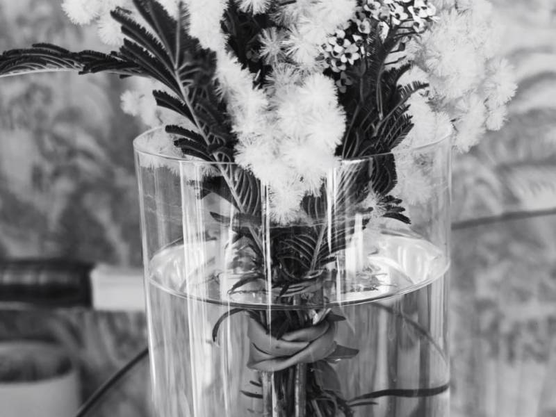 El odio del eneatipo 4 sexual: Indagación profunda desde el observador. La intensidad del odio como mecanismo de&nbsp;supervivencia.