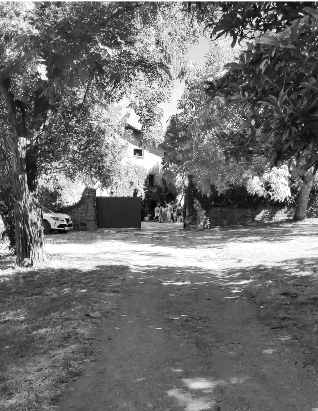 Sueño de una noche de verano: A la sombra de la higuera. Melancolía, nostalgia, soledad, identidad.