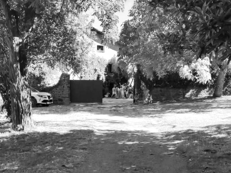 Sueño de una noche de verano: A la sombra de la higuera. Melancolía, nostalgia, soledad,&nbsp;identidad.